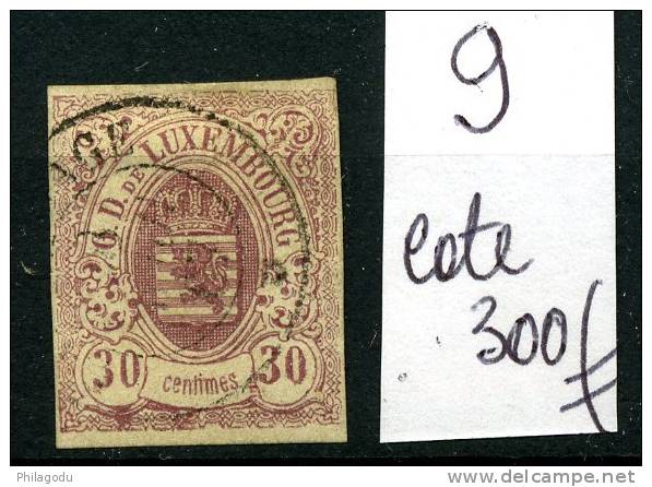 Luxembourg  9  Ø   Premier Choix  Cote 300 E - 1859-1880 Wappen & Heraldik