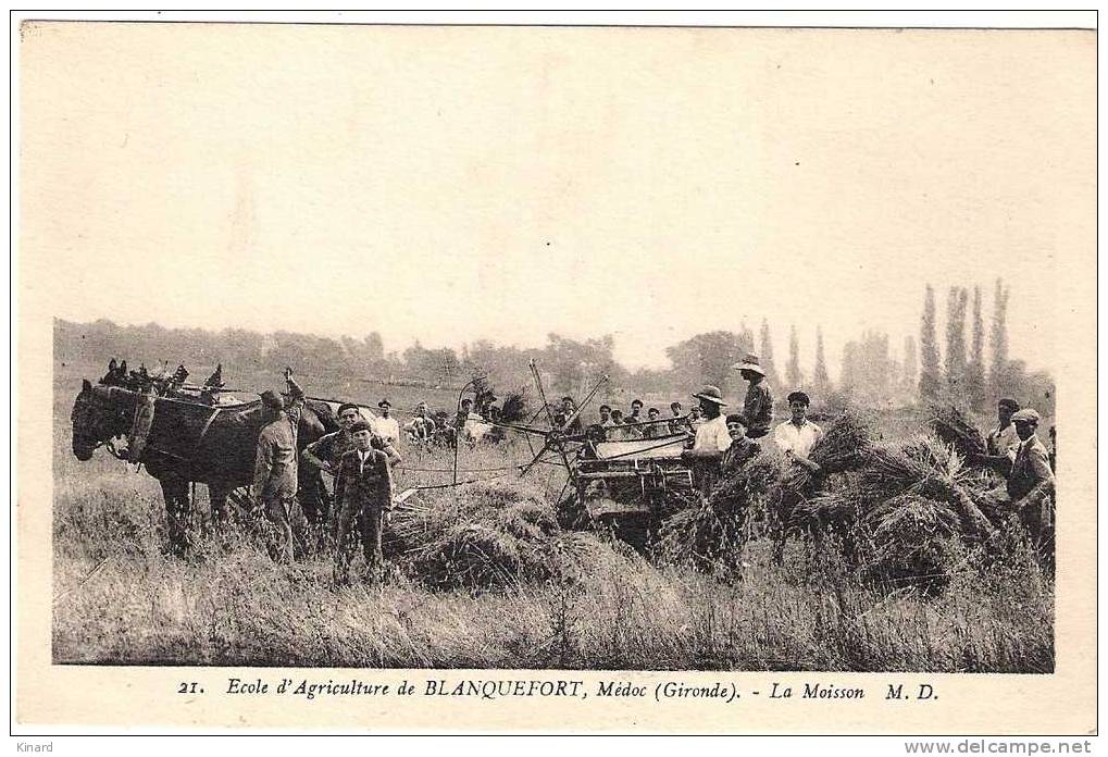 CP. LA MOISSON. Ecole D´agriculture De BLANQUEFORT   M .D  Gironde. - Blanquefort