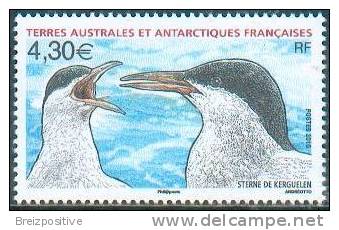 TAAF / French Antarctic Territories 2010 - Sternes Des Kerguelen / Kerguelen Islands Terns - MNH - Seagulls