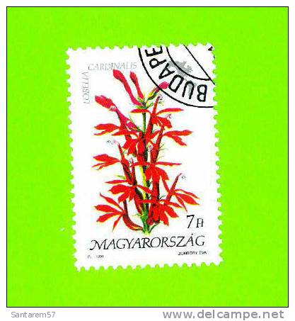 Timbre Oblitéré Used Mint Stamp Selo Carimbado Magyar Posta MAGYARORSZAG LOBELIA CARDINALIS 7 HONGRIE HUNGARY 1991 - Usati