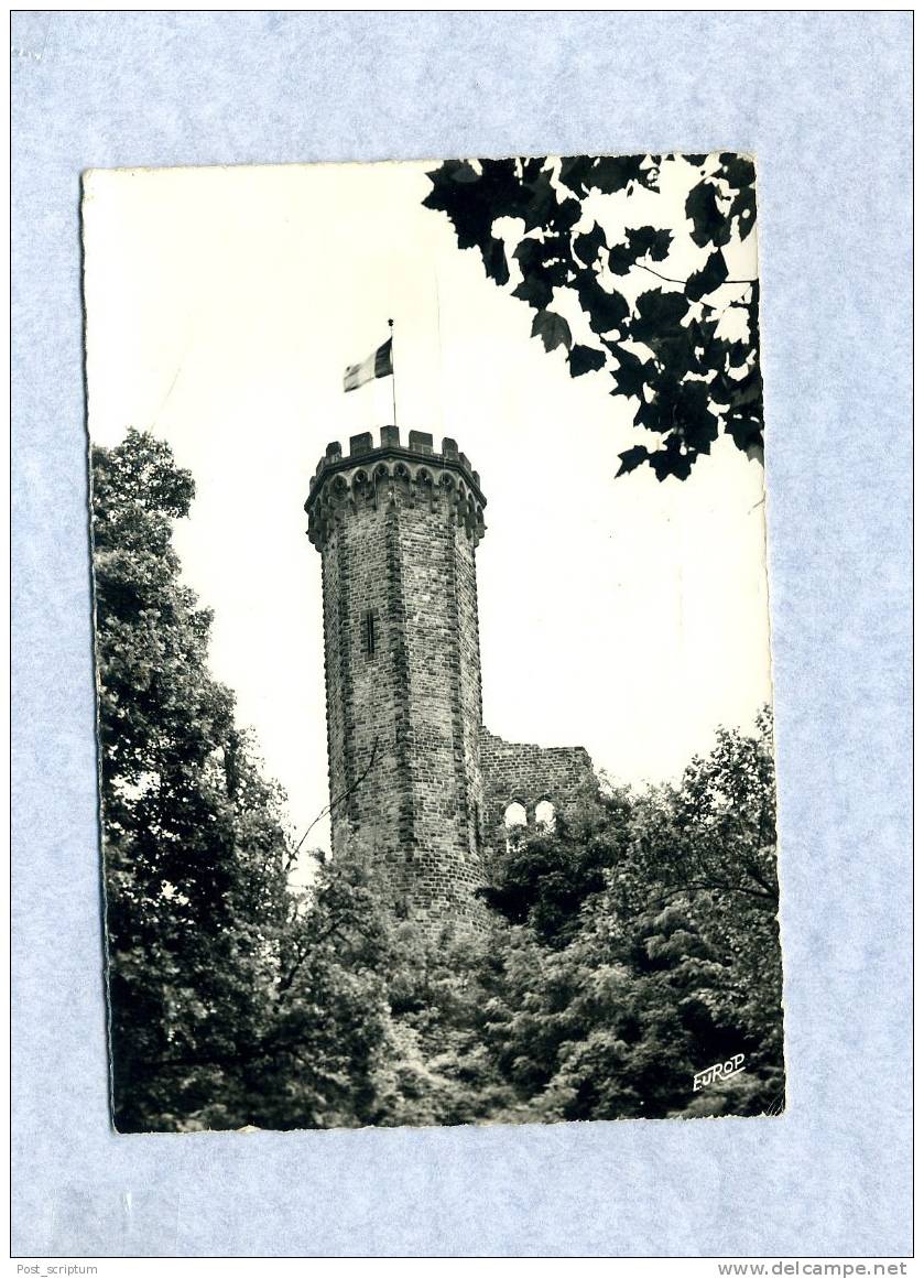 Forbach - Tour Du Schlossberg - Forbach