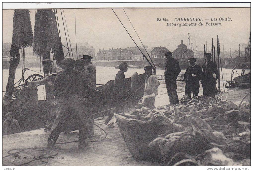 CHERBOURG:  Débarquement Du Poisson - - Cherbourg