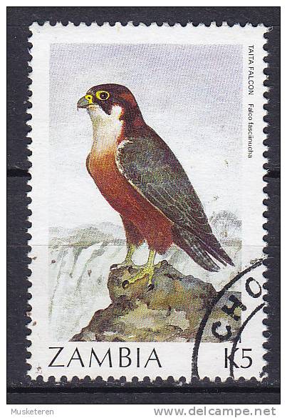 Zambia 1987 Mi. 401    5 K Bird Vogel Falke Falcon - Zambia (1965-...)