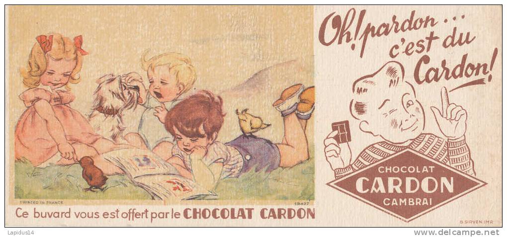 BU 512 /BUVARD -  CHOCOLAT CARDON CAMBRAI - Cacao