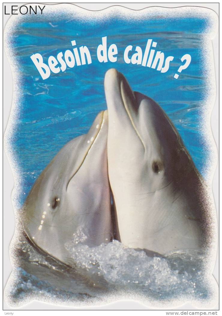 CPM  Représentant Des   " DAUPHINS " - BESOIN De CALINS- Carte Dentelée - Dolfijnen