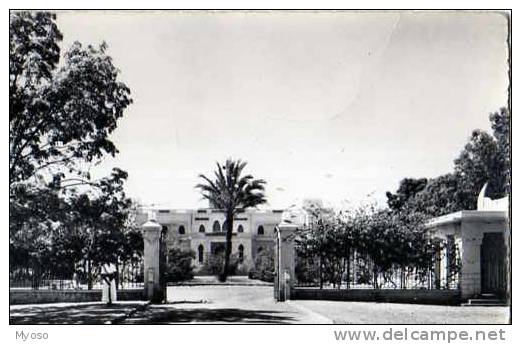 NIAMEY Le Palais Du Gouverneur - Níger