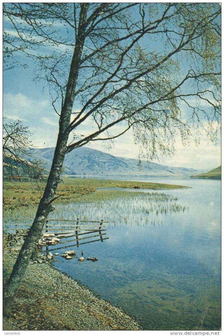 Britain - United Kingdom - St. Mary's Loch, Selkirkshire - 1960s Unused Postcard [P2798] - Selkirkshire