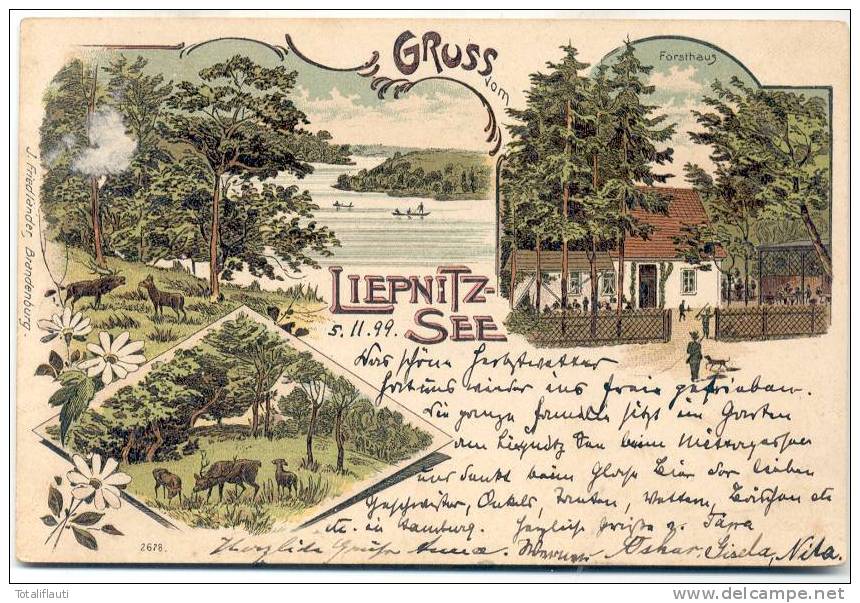 Wandlitz Liepnitz See Forsthaus Friedländer Litho 5.11.1899 Gelaufen Hirsch Rudel Auf Waldlichtung - Wandlitz