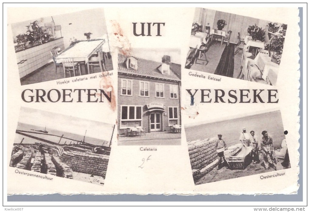 Groeten  Uit  Yerseke - Yerseke