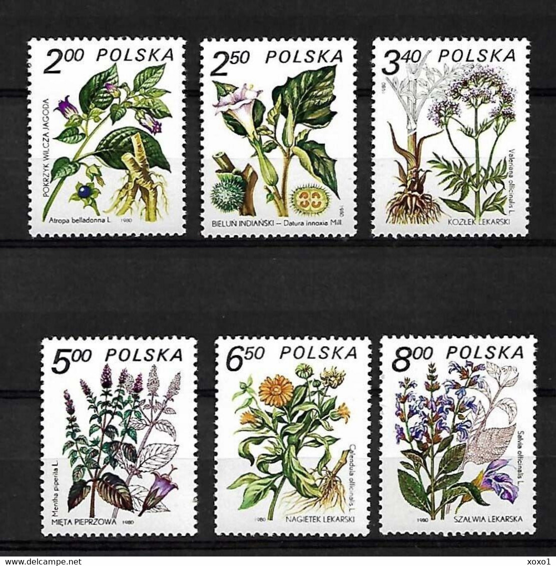 Poland 1980 MiNr. 2706 - 2711 Polen Medicinal Plants 6v MNH**  3.00 € - Plantas Medicinales
