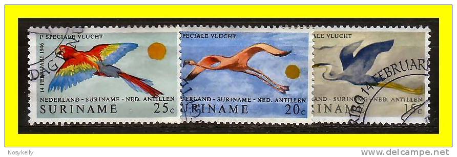 Faune  -  1970  TP°  Obl   N° Yvert  531/3  -  Oiseaux   -  Suriname - Surinam ... - 1975