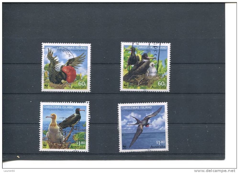 (101) Birds Of Chrismas Island - Frigate Birds - Oiseau Fregate De L´ile De Christmas - Christmas Island