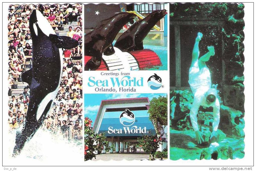 USA - Orlando Florida - Sea World - Orc - Orka - Orlando