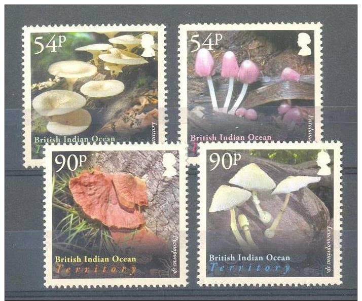 CHEAP SHIPPING * BIOT * BRITISH INDIAN OCEAN TERR. * SERIE 4v YEAR 2009 * MUSHROOM CHAMPIGNON FUNGHI * MNH - Champignons