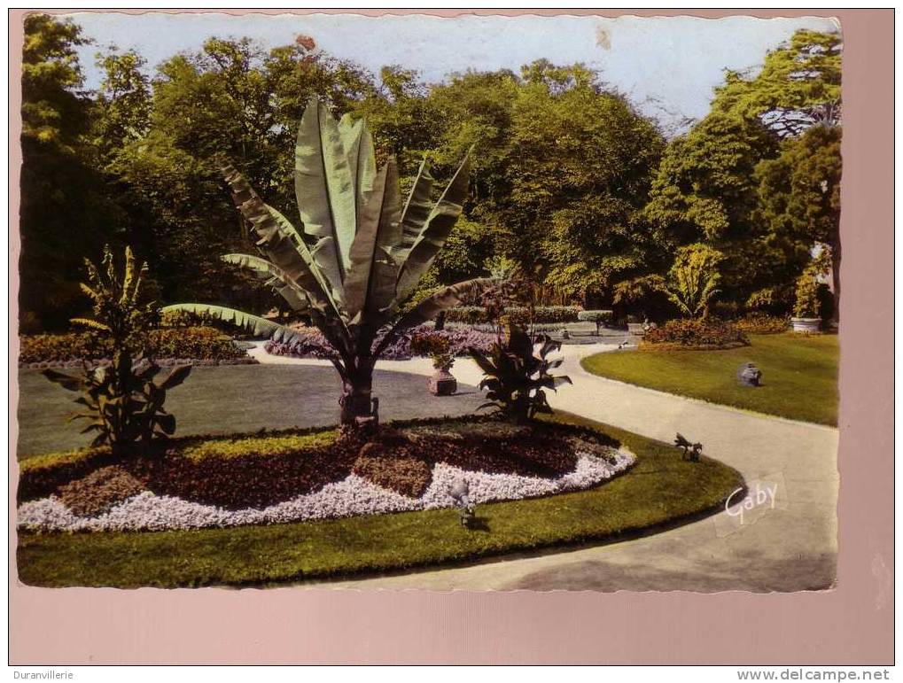 50 - AVRANCHES - Le Jardin Des Plantes. CPSM - Avranches