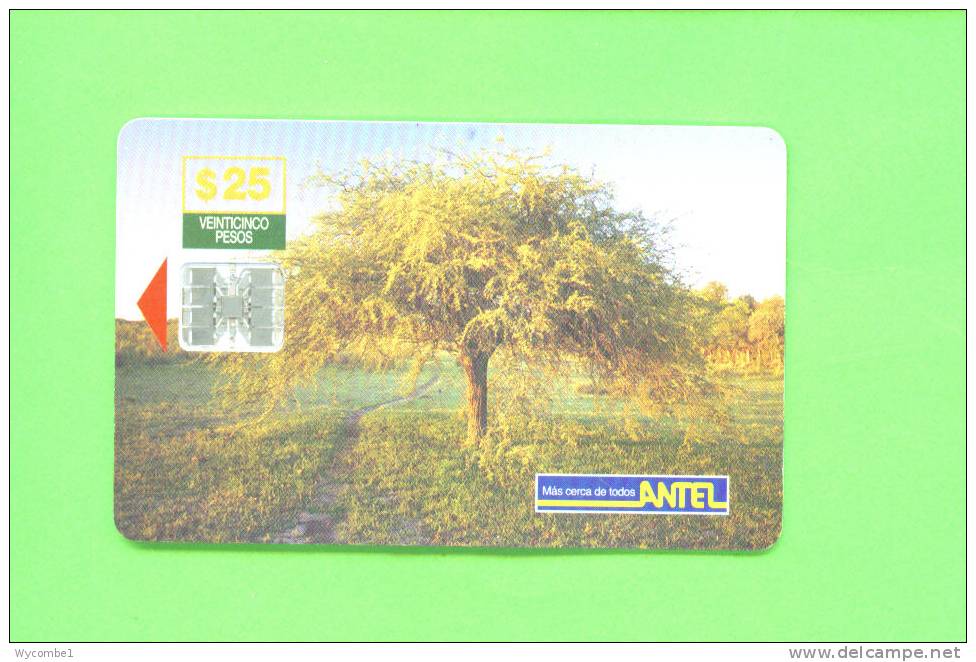 URUGUAY  -  Chip Phonecard As Scan - Andere - Afrika