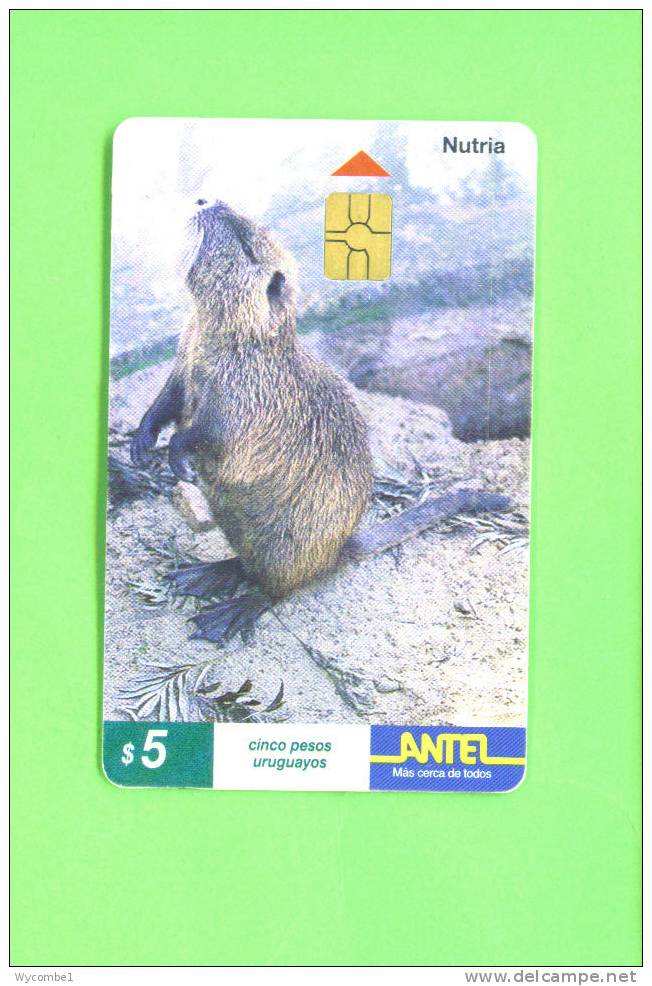 URUGUAY  -  Chip Phonecard As Scan - Andere - Afrika