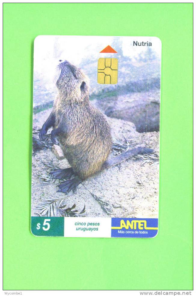 URUGUAY  -  Chip Phonecard As Scan - Sonstige - Afrika