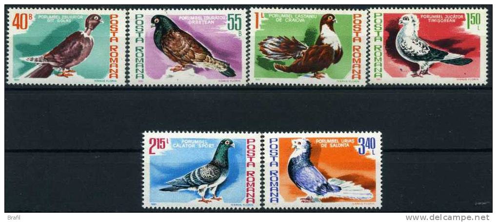 1981, Romania., Serie Uccelli , Serie Completa Nuova (**) - Palomas, Tórtolas