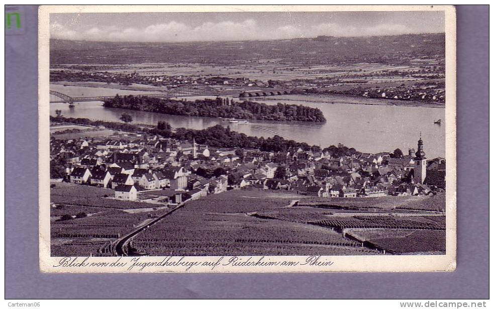 Allemagne - Blick Von Der Jugendherberge Auf Rudesheim Am Rhin - Darmstadt