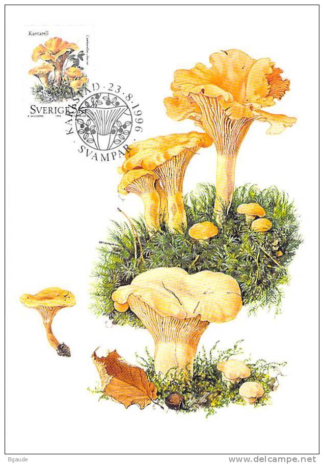 SUEDE Carte MAXIMUM Num.yvert 1943 CHAMPIGNON - Cartes-maximum (CM)