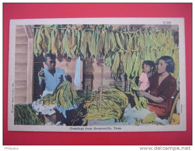 Brownsville Tn  Family With Tobacco  Crop- Linen   ---=========ref166 - Sonstige & Ohne Zuordnung