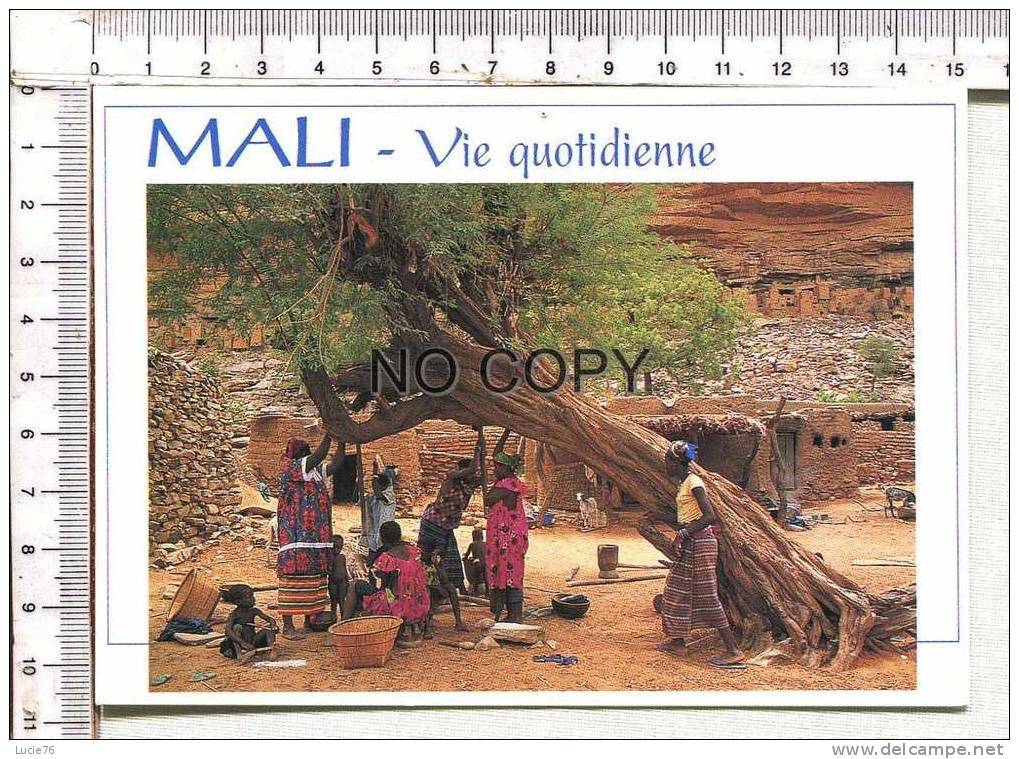 MALI -  Charmes Et Couleurs Du Mali -  Vie Quotidienne - Mali