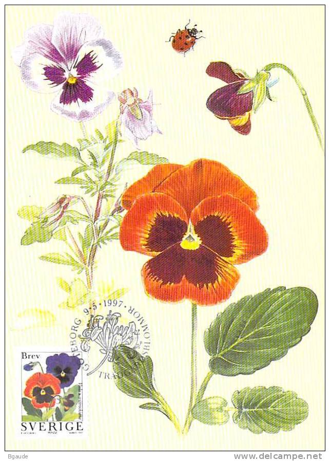 SUEDE Carte MAXIMUM Num.yvert 1982  FLORE FLEUR  DES JARDINS - Cartes-maximum (CM)