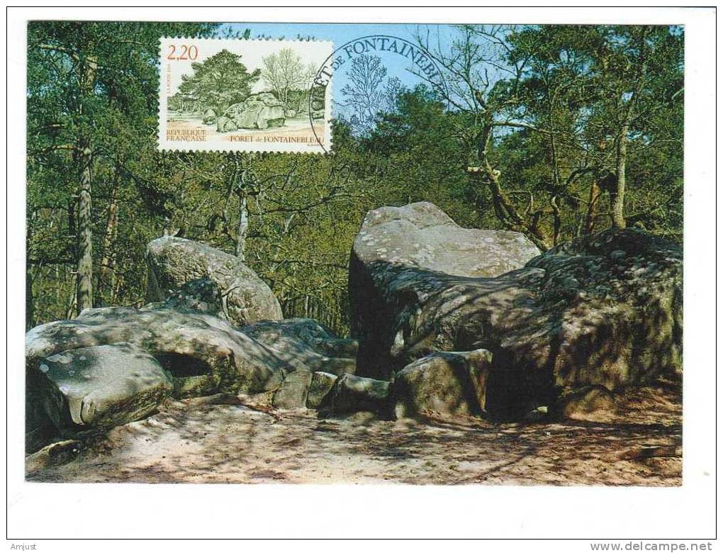 Carte Maximum,maxi Cards,forêt De Fontainebleau - Autres & Non Classés