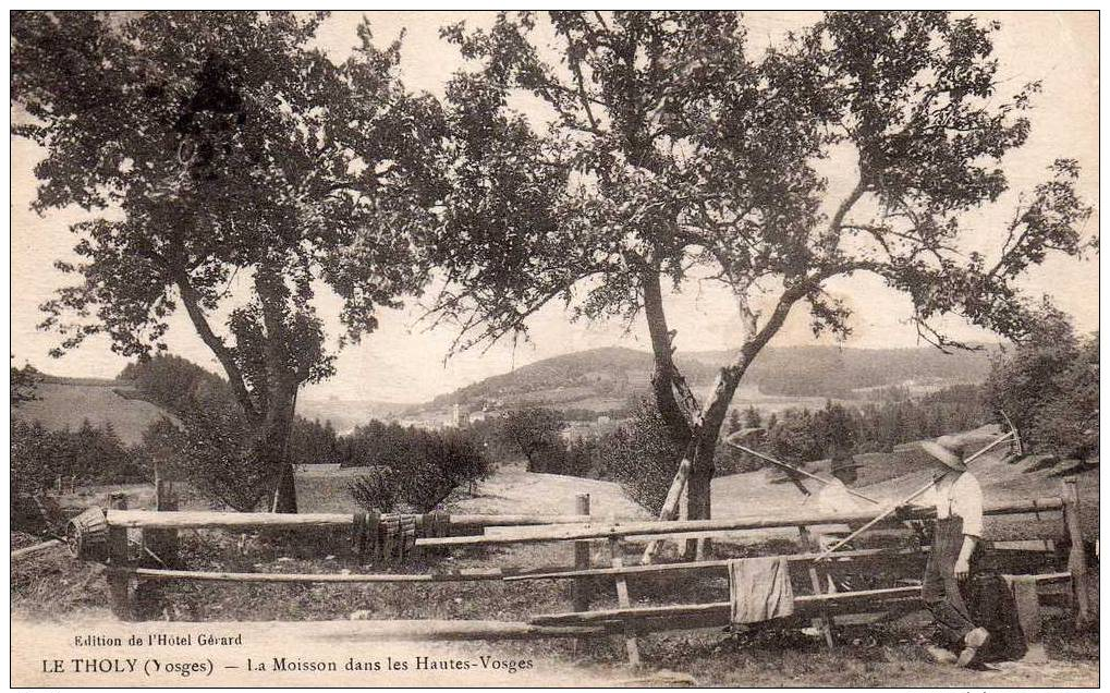 LE THOLY    Moisson Dans Les Hautes Vosges              .H. - Altri & Non Classificati