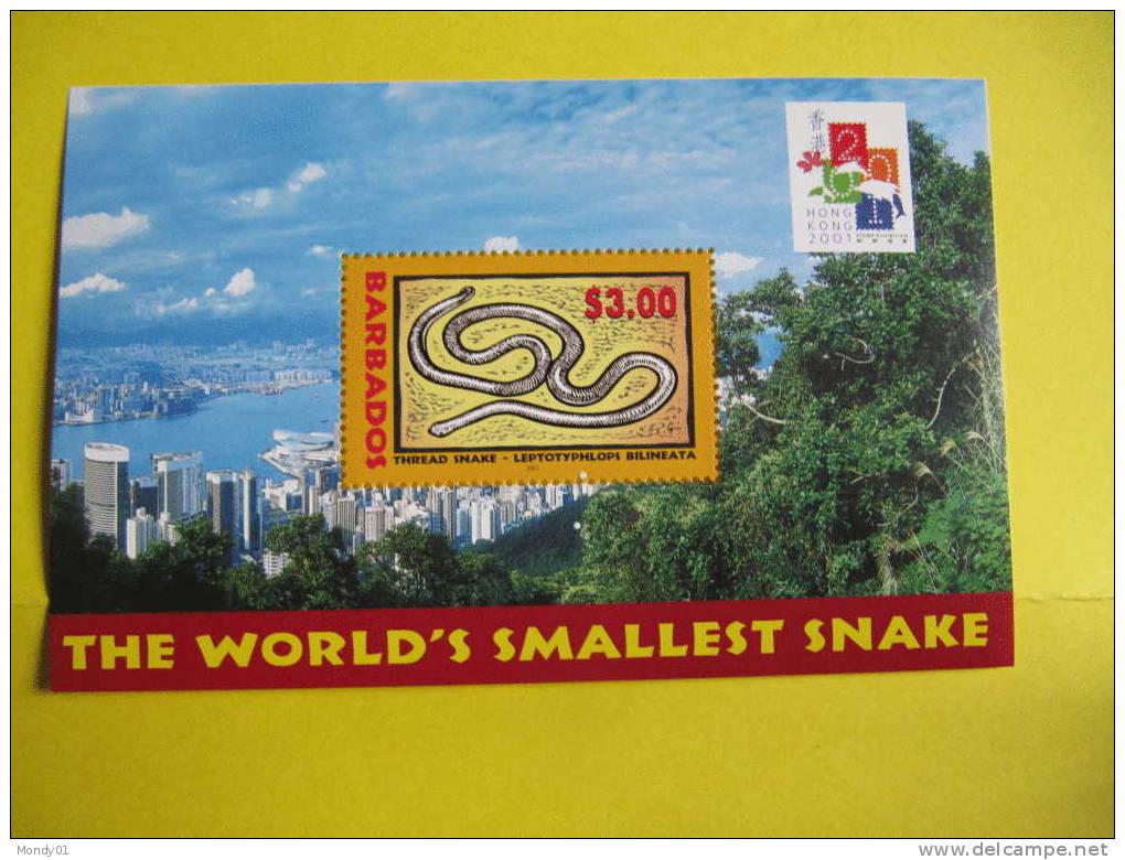 3989 Smallest Snake Leptotyphlops Bilineata Bloc Exposition Philatélique Internationale 2001 Hong Kong - Serpents