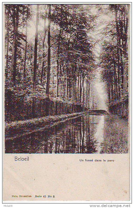 BELOEIL . UN FOSSE DANS LE PARC. - Beloeil