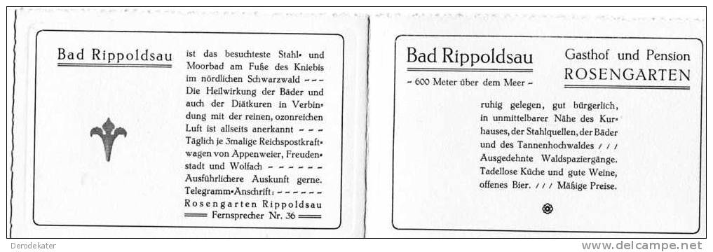Bad Rippoldsau. Gasthof Und Pension Rosengarten. 2 Karten! Gute Kondition. Unbeschrieben. New!! - Bad Rippoldsau - Schapbach