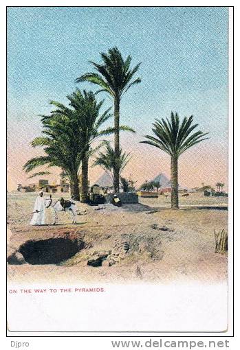 Egypte  On The Way To The Pyramids - Sonstige & Ohne Zuordnung