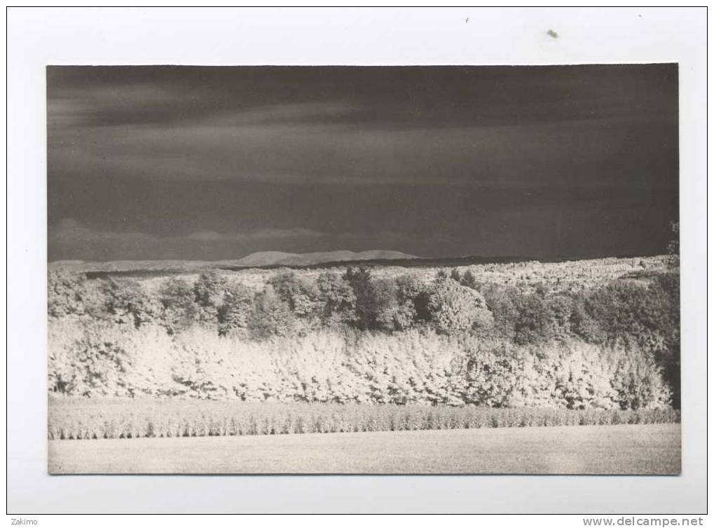 PHOTO FOMAT CPM  --Massif Des Monédières1953----3A21.1 - Lieux