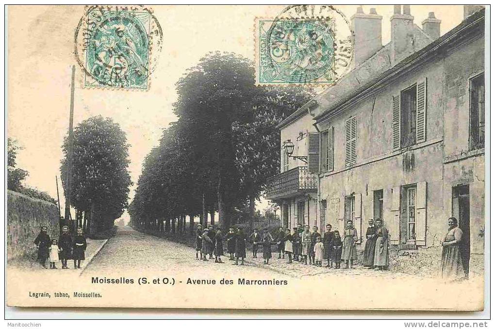 DEP 95 MOISELLES AVENUE DES MARRONNIERS - Moisselles