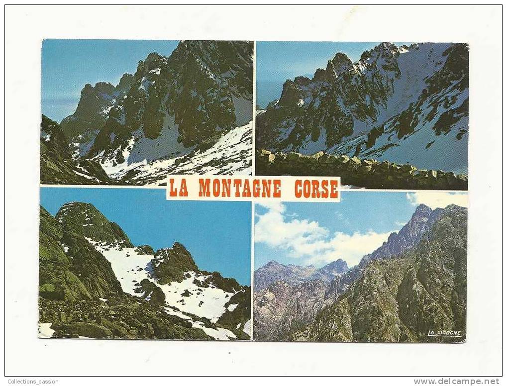 Cp, Corse, La Montagne Corse, Voyagée 1977 - Corse