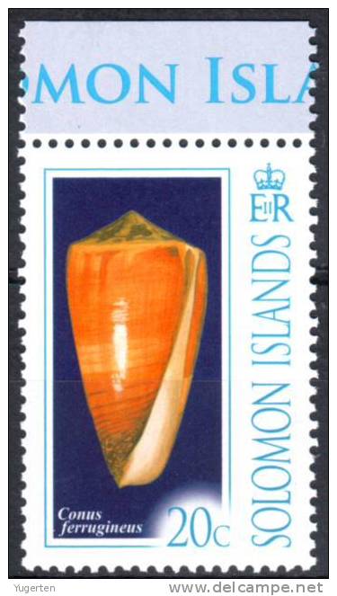 SOLOMON ISLANDS - Conus Marmoreus - Neuf / MNH - Coquillages