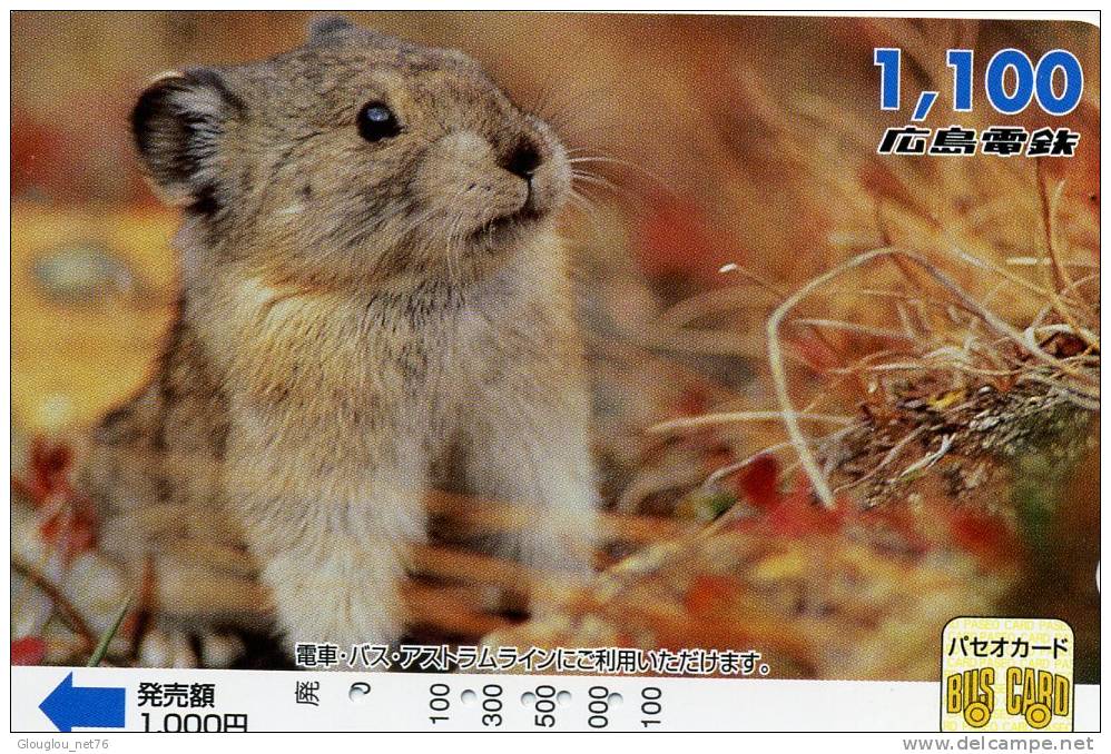 TELECARTE DU JAPON 1 LAPIN  VOIR SCANNER - Conejos