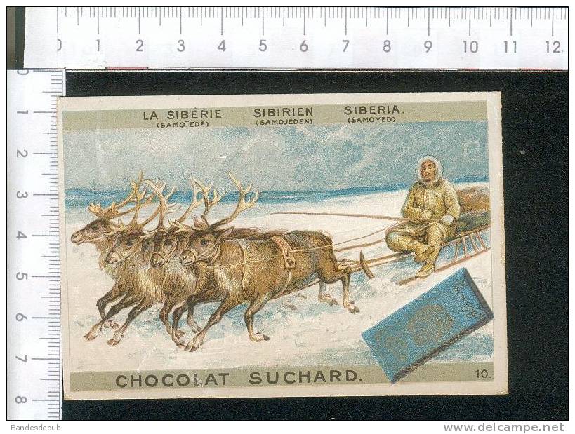 Suchard Jolie Chromo Délicatement Dorée  Attelage Rennes Renne  Banquise Glace  Traineau Sibérie - Suchard