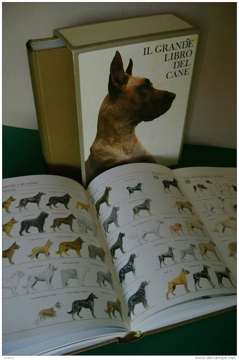 PDS/5 Cofanetto 2 Vol.IL GRANDE LIBRO DEL CANE De Agostini 1971/RAZZE - Animales De Compañía