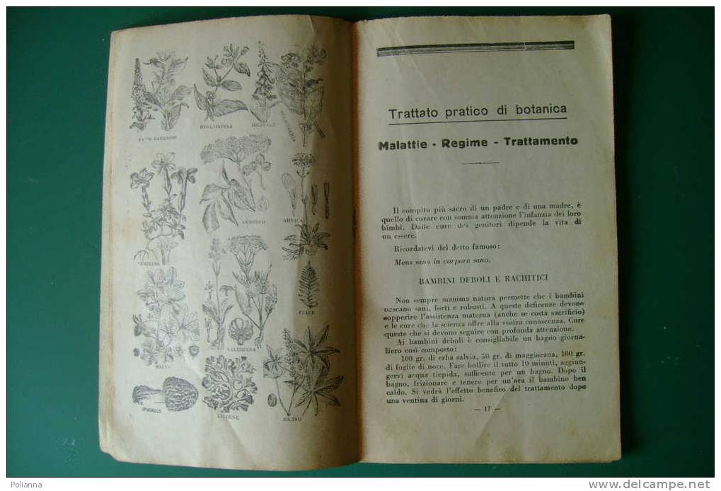 PDS/34 G.Brusasco LE ERBE MEDICINALI Edizioni Federici 1937/BOTANICA/ERBORISTERIA - Garten