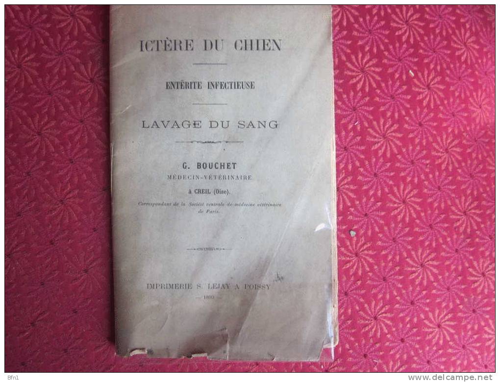 G.BOUCHERT- 1899- ICTERE DU CHIEN - ENTERITE INFECTIEUSE - LAVAGE DU SANG - 1801-1900