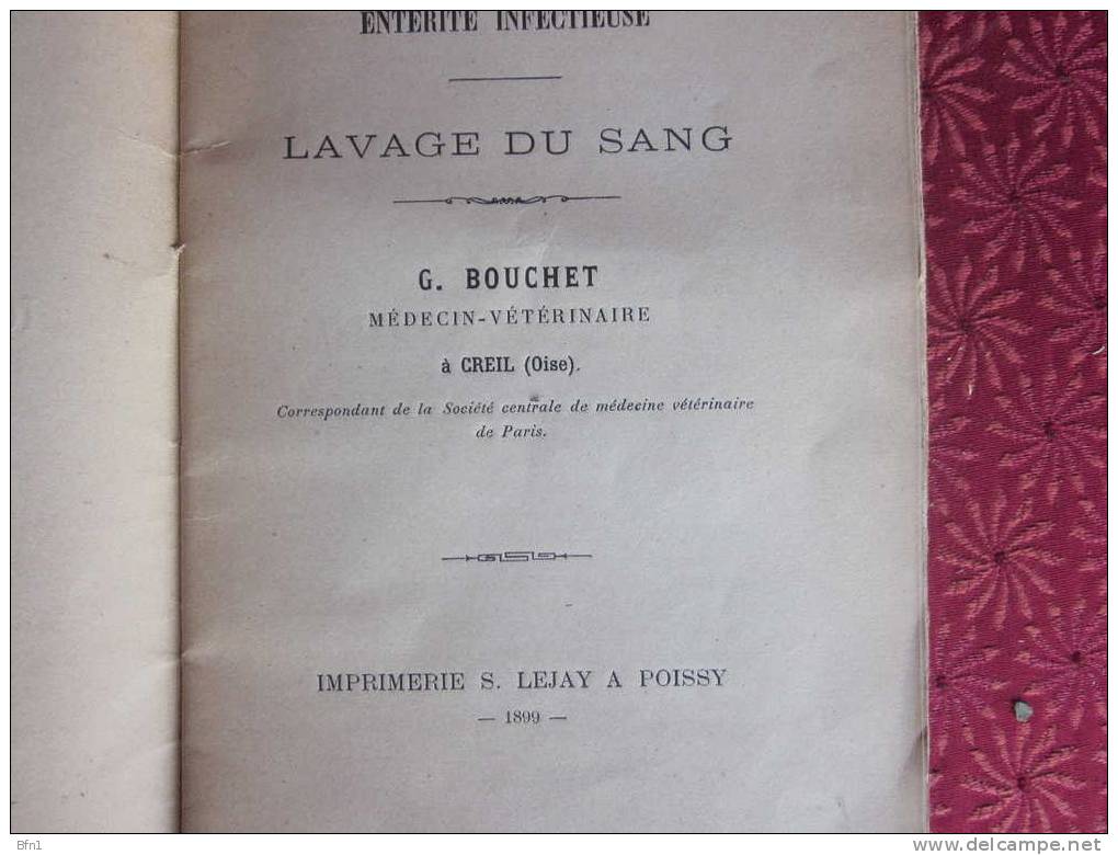 G.BOUCHERT- 1899- ICTERE DU CHIEN - ENTERITE INFECTIEUSE - LAVAGE DU SANG - 1801-1900