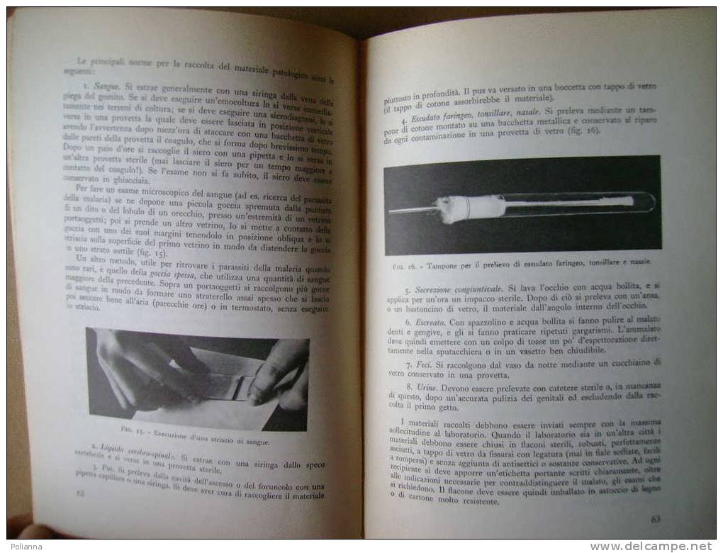 PAG/14 U.di Aichelburg IGIENE E MEDICINA SOCIALE S.E.I. 1973/infermieri/ostetriche/ospedali - Geneeskunde, Biologie, Chemie