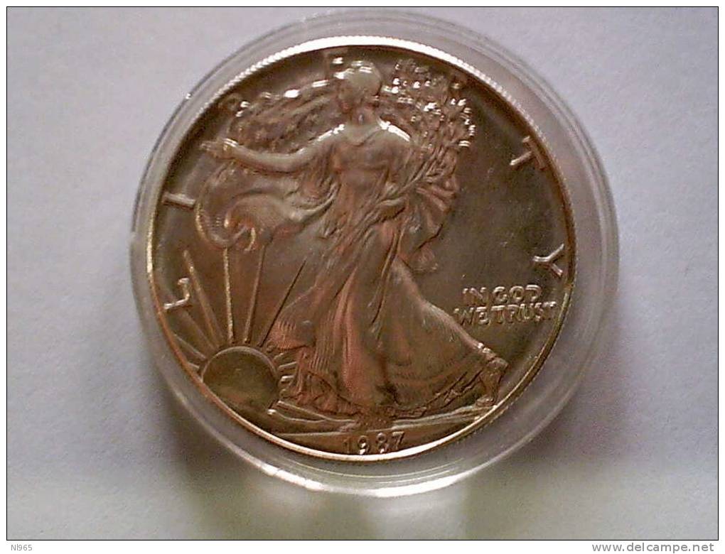 STATI UNITI D' AMERICA  1 DOLLARO ( AMERICAN EAGLE BULLION ) ARGENTO 999 ANNO 1987 - Lotes Mixtos