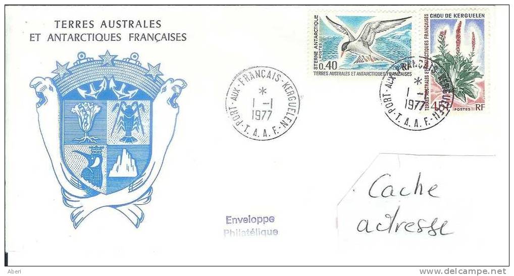 6210  N° 55; 48 - KERGUELEN - 1977 - Cartas & Documentos