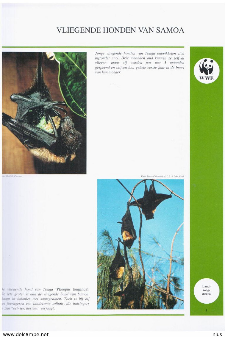 Samoa 1993 WWF W. W. F. Set Of Mint Stmps + Set Of FDC's Fruit Bats Bat Vliegende Honden Fauna - FDC