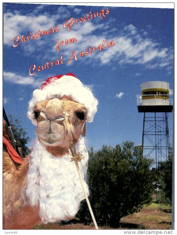 (682) Camel - Chameaux - Noel - Christmas - Beren