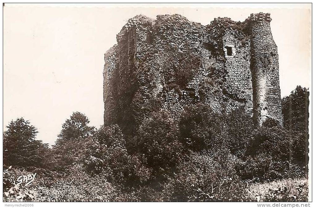 Vendée - Pouzauges , Les Ruines Du Vieux Chateau En 1957 - Pouzauges